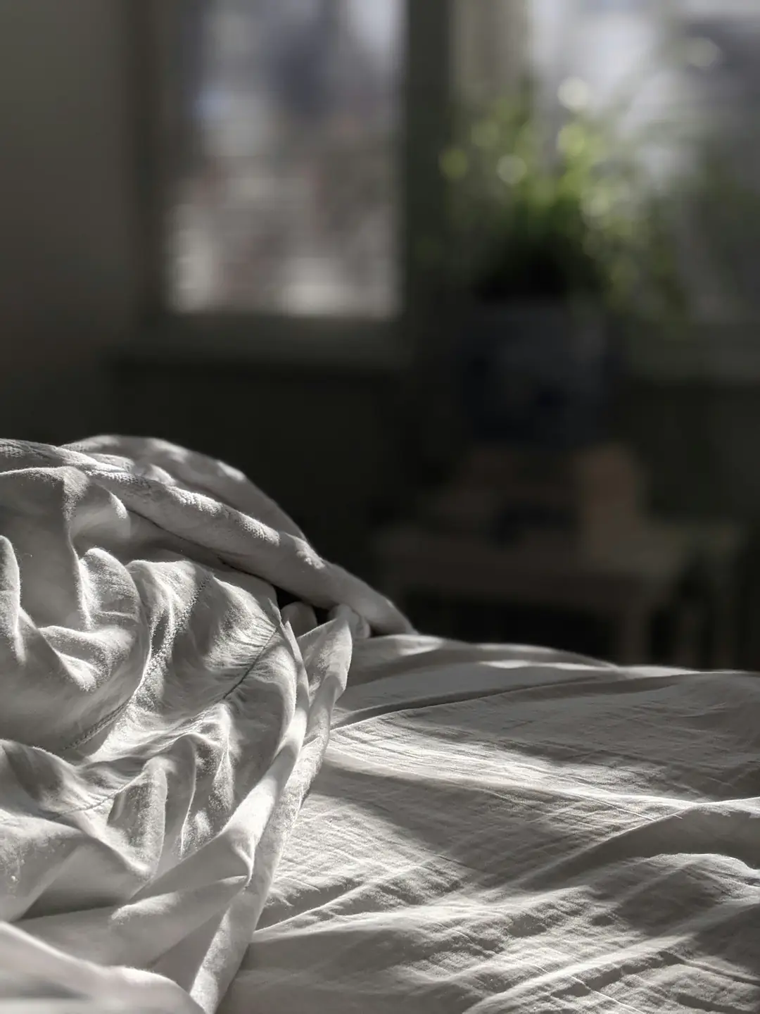 Rumpled white bed linen in soft, low morning light