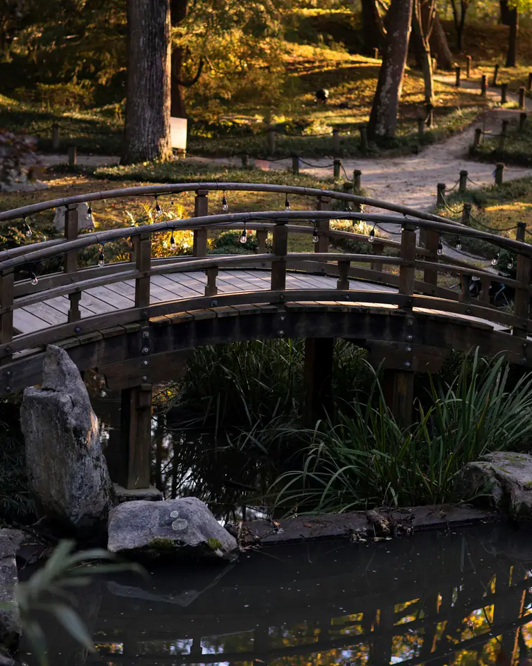 A wooden arched footbridge over a still pond in a shaded garden