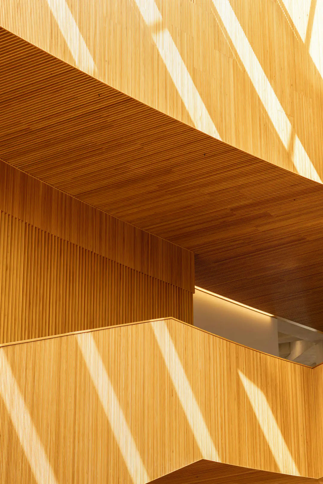 Pale timber slats casting long diagonal shadows across a stair