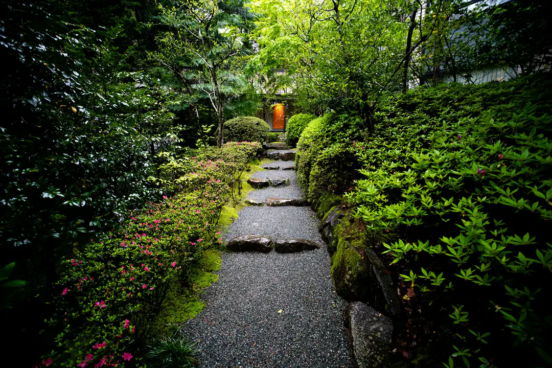 A narrow stone path winding through a lush green garden