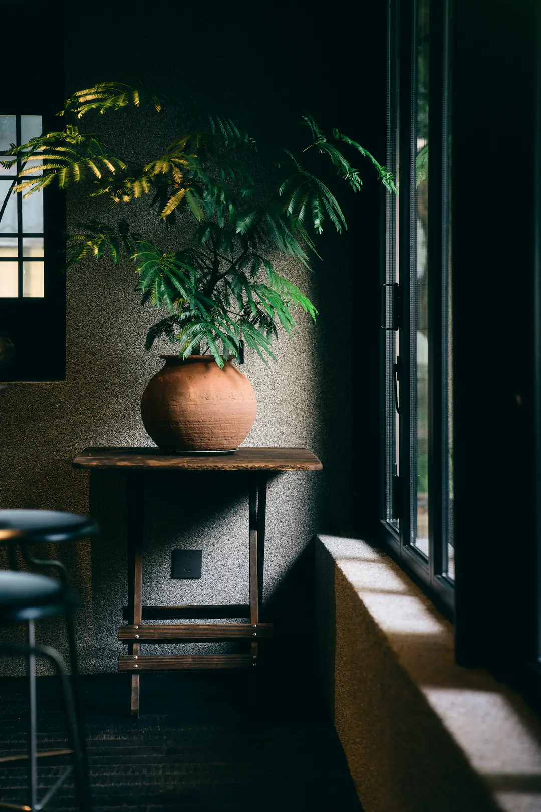A fern in a terracotta pot on a dark wooden table beside a shadowed window