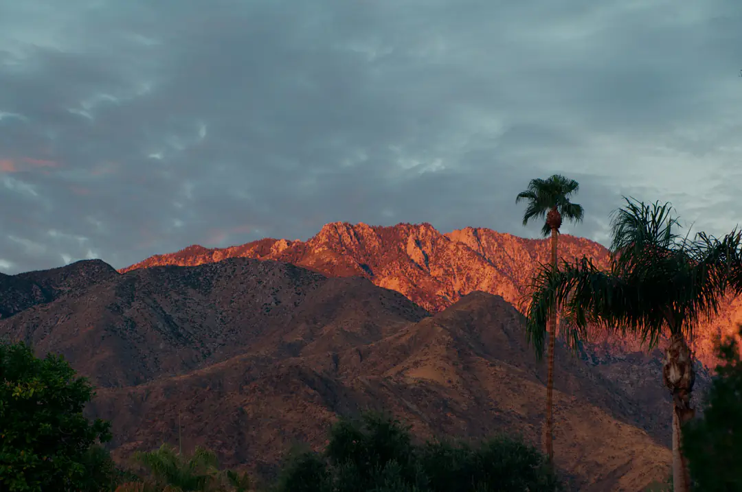 Desert peaks glowing red in late light, with palms in the foreground