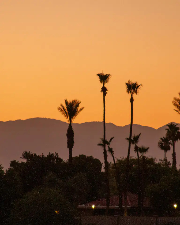Palm silhouettes against a mountain ridge under an amber dusk sky